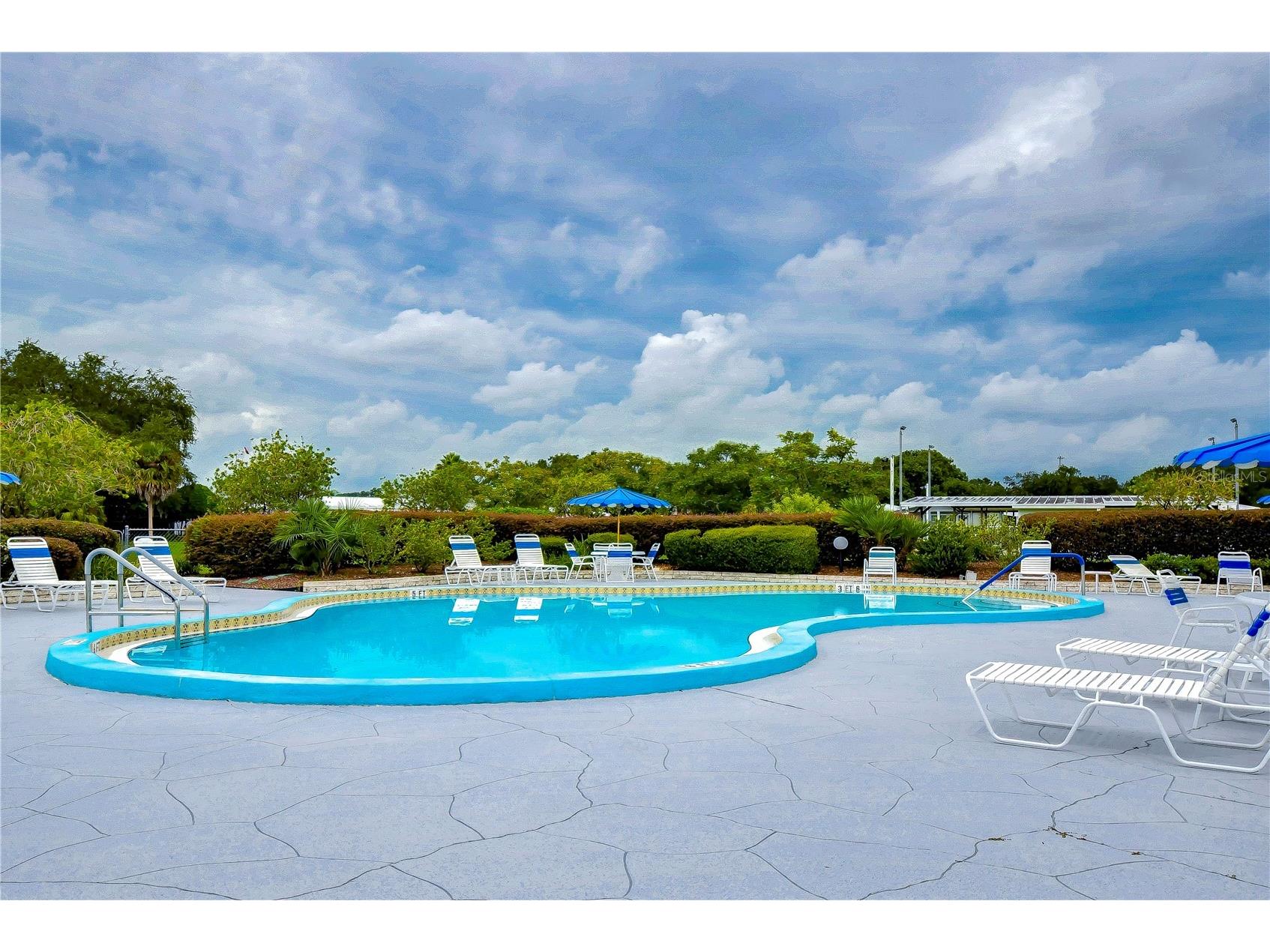 35145 Wagner Way Zephyrhills FL 33541 TB8478171 image73