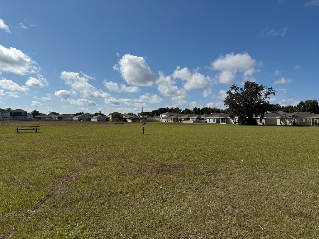 35147 Jomar Avenue Zephyrhills FL 33541 TB8443260 image19