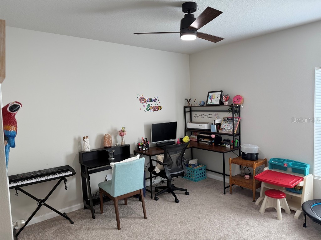 35147 Jomar Avenue Zephyrhills FL 33541 TB8443260 image9