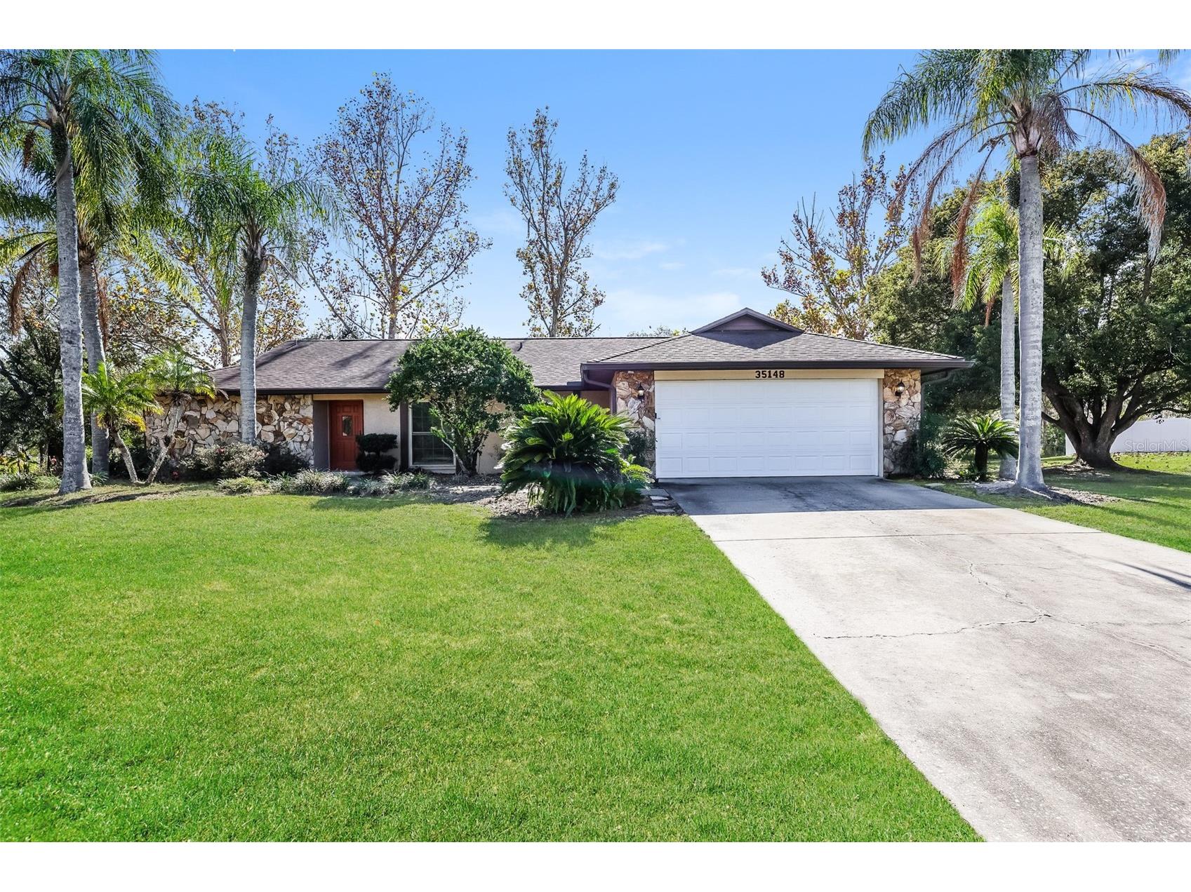 35148 Dolphin Lake Drive Zephyrhills FL 33541 O6382650 image1