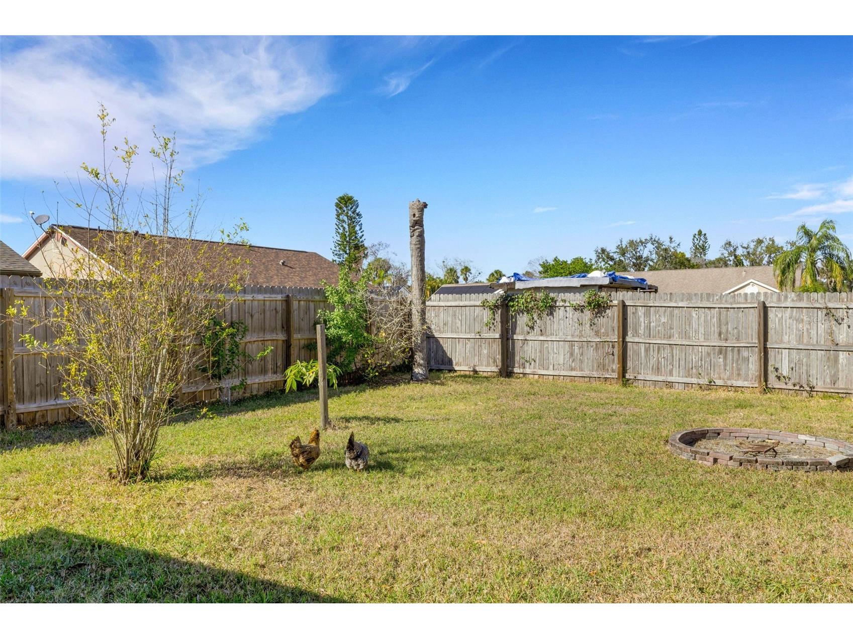 3515 5th Avenue W Palmetto FL 34221 A4681066 image34