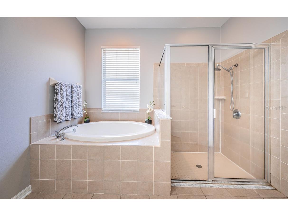 3515 Albritton Street New Port Richey FL 34655 W7874470 image13