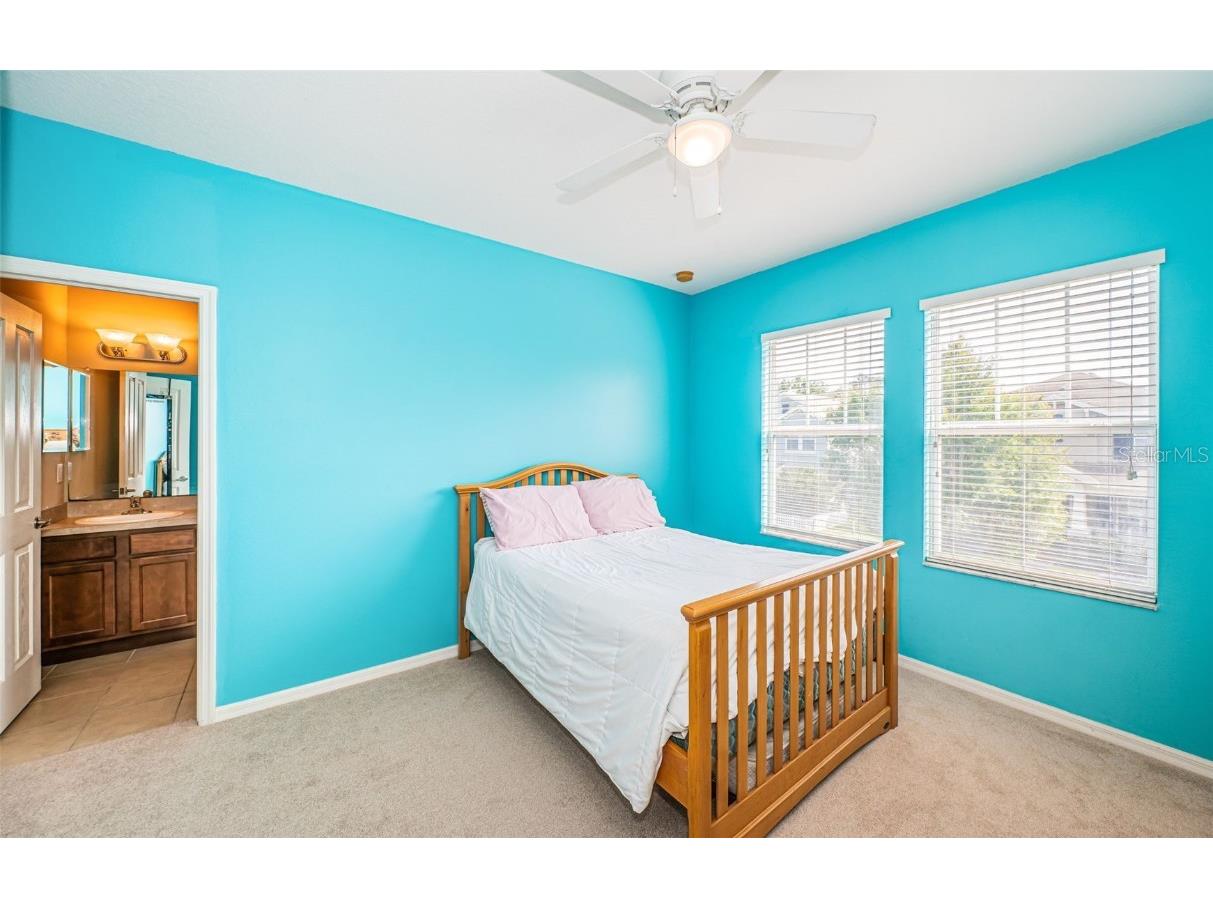 3515 Albritton Street New Port Richey FL 34655 W7874470 image14