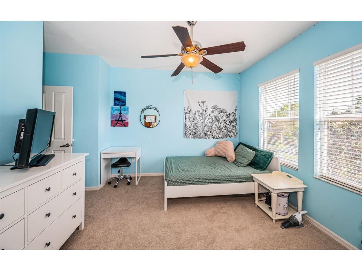 3515 Albritton Street New Port Richey FL 34655 W7874470 image16