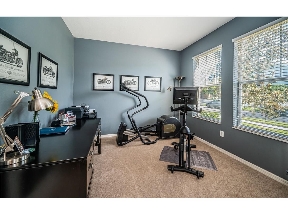 3515 Albritton Street New Port Richey FL 34655 W7874470 image2