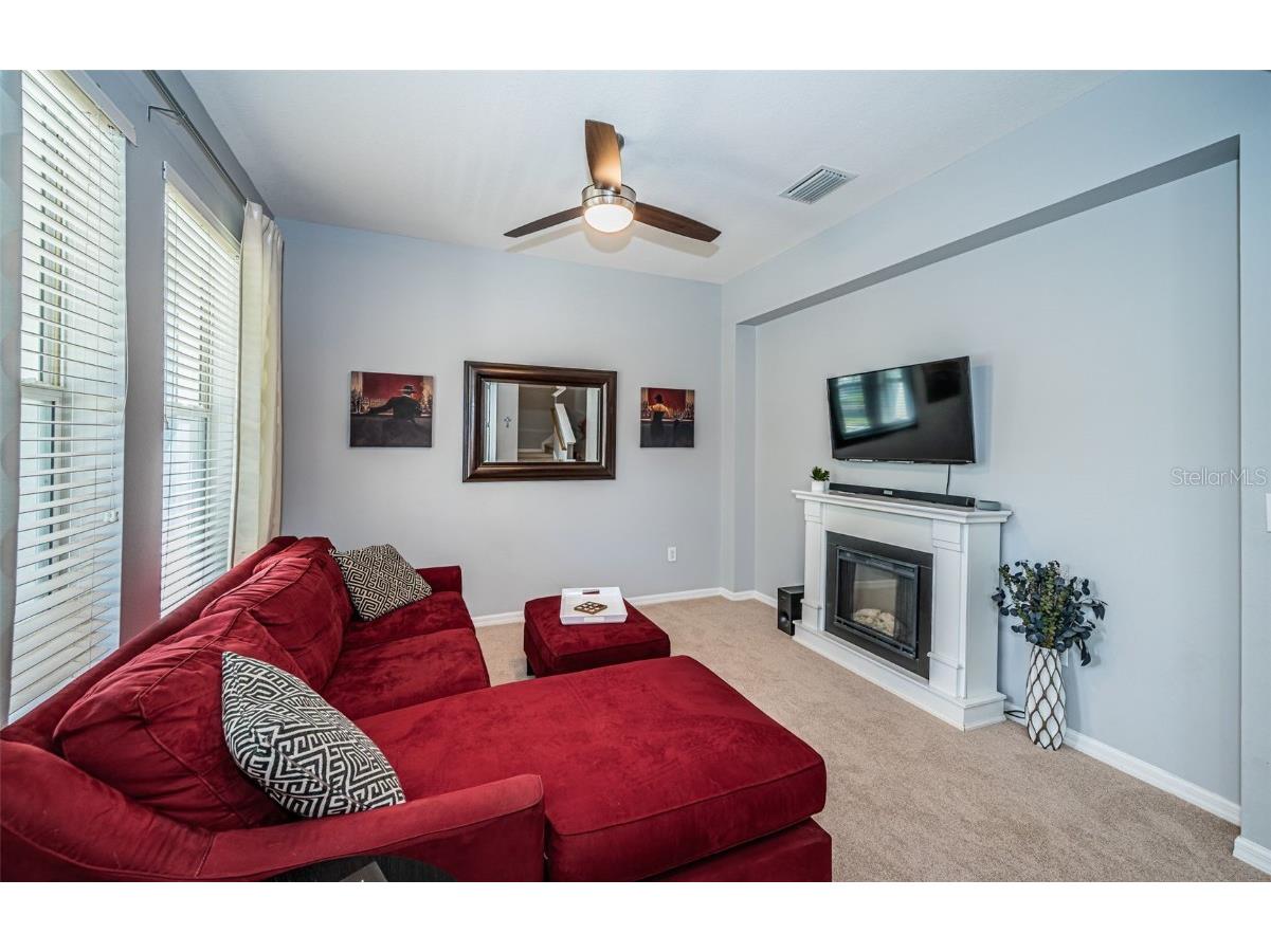 3515 Albritton Street New Port Richey FL 34655 W7874470 image21