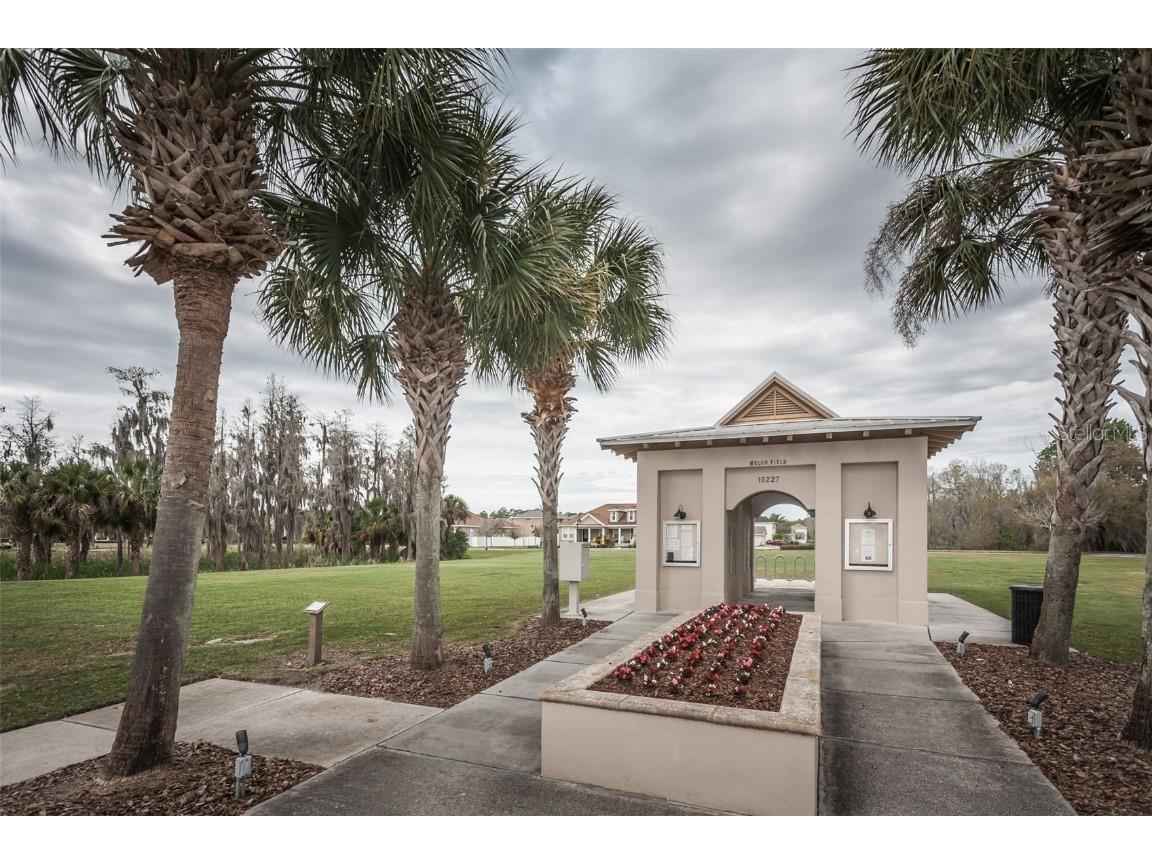 3515 Albritton Street New Port Richey FL 34655 W7874470 image28