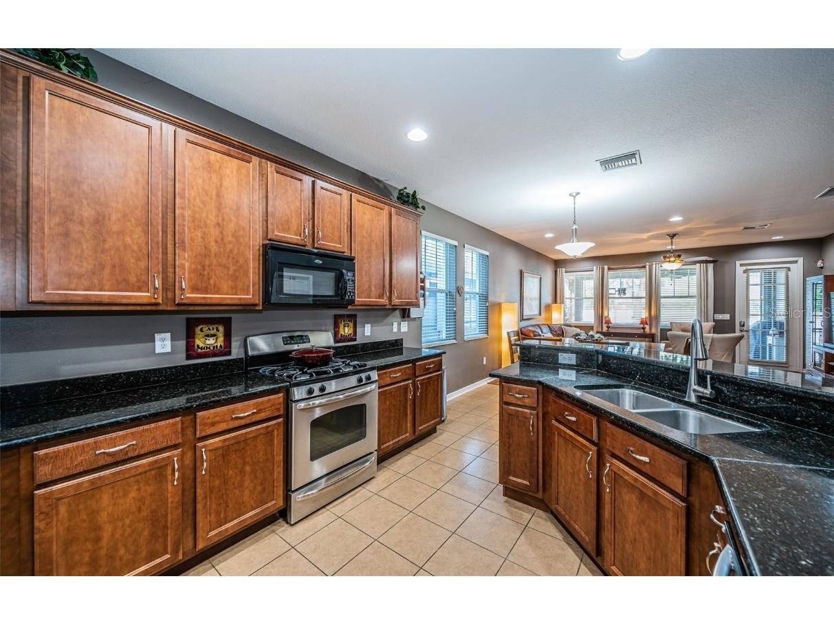 3515 Albritton Street New Port Richey FL 34655 W7874470 image4