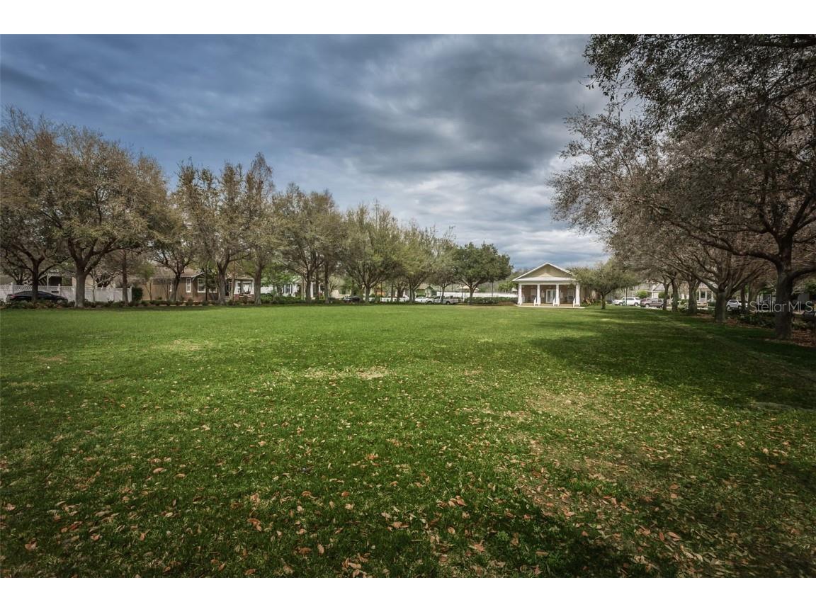 3515 Albritton Street New Port Richey FL 34655 W7874470 image45