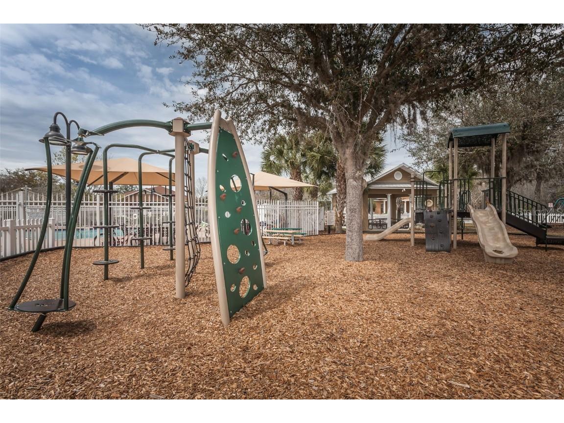 3515 Albritton Street New Port Richey FL 34655 W7874470 image47