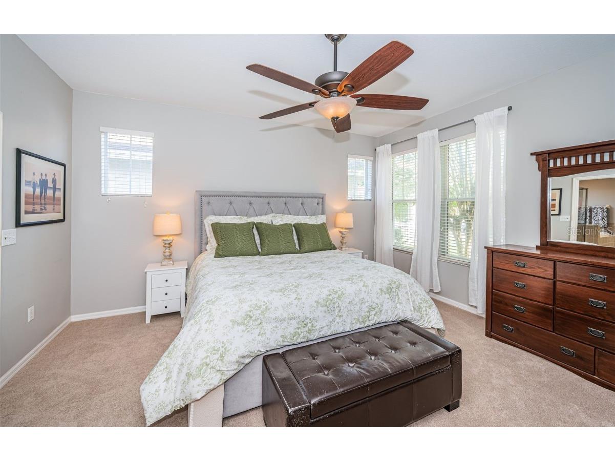 3515 Albritton Street New Port Richey FL 34655 W7874470 image6