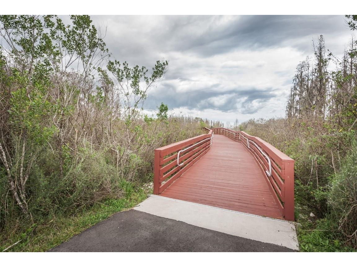 3515 Albritton Street New Port Richey FL 34655 W7874470 image61