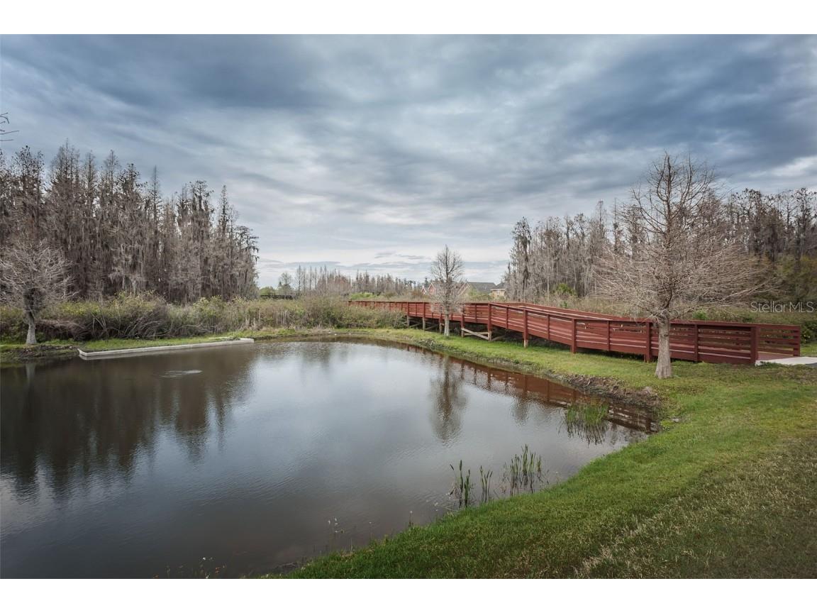 3515 Albritton Street New Port Richey FL 34655 W7874470 image63