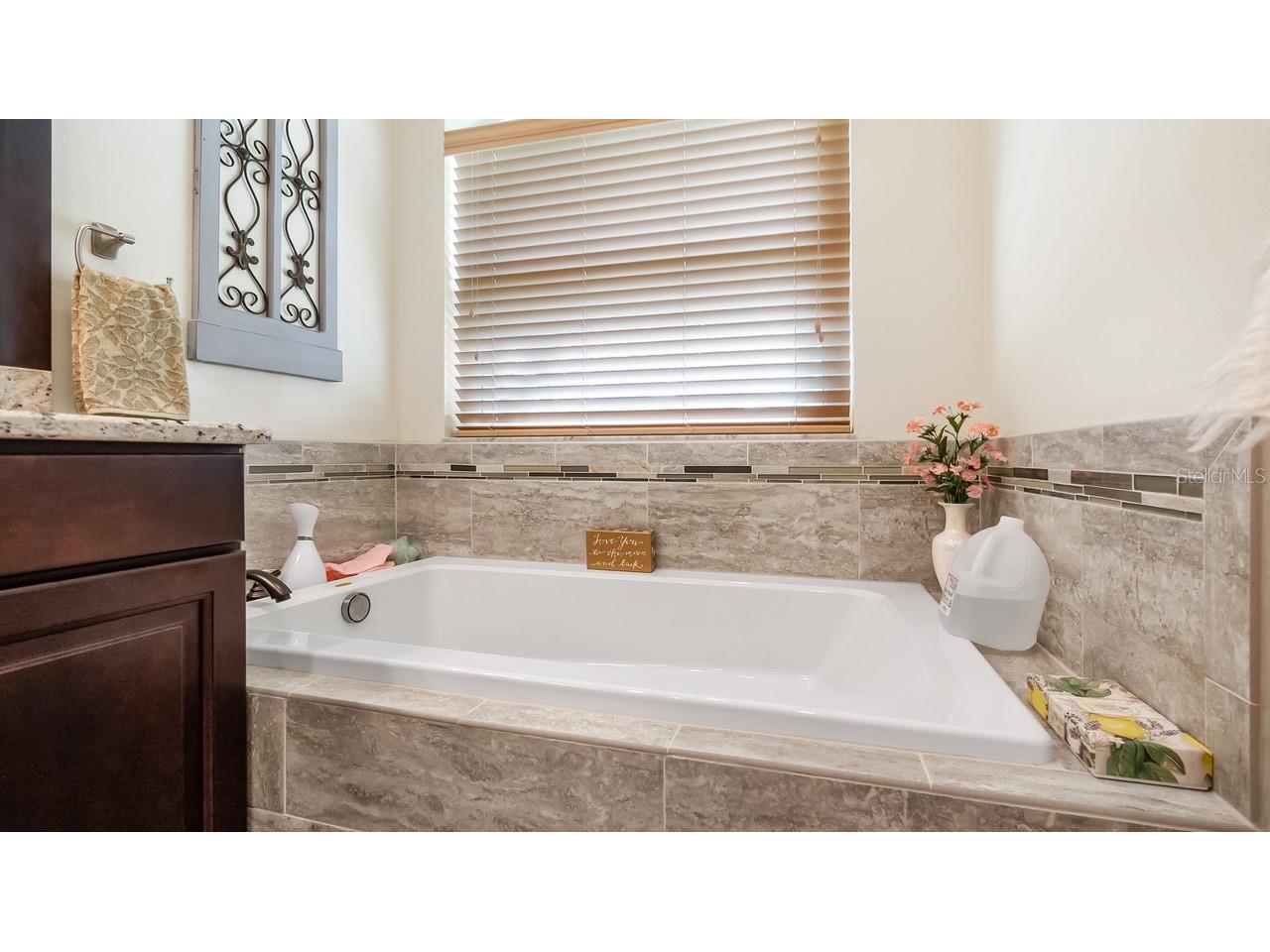 3515 Chessington Street Clermont FL 34711 G5114356 image18