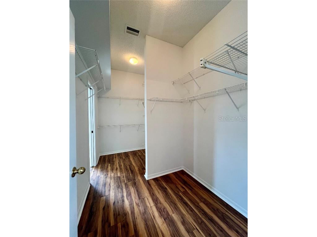 3515 Fox Squirrel Lane Valrico FL 33596 TB8434524 image13