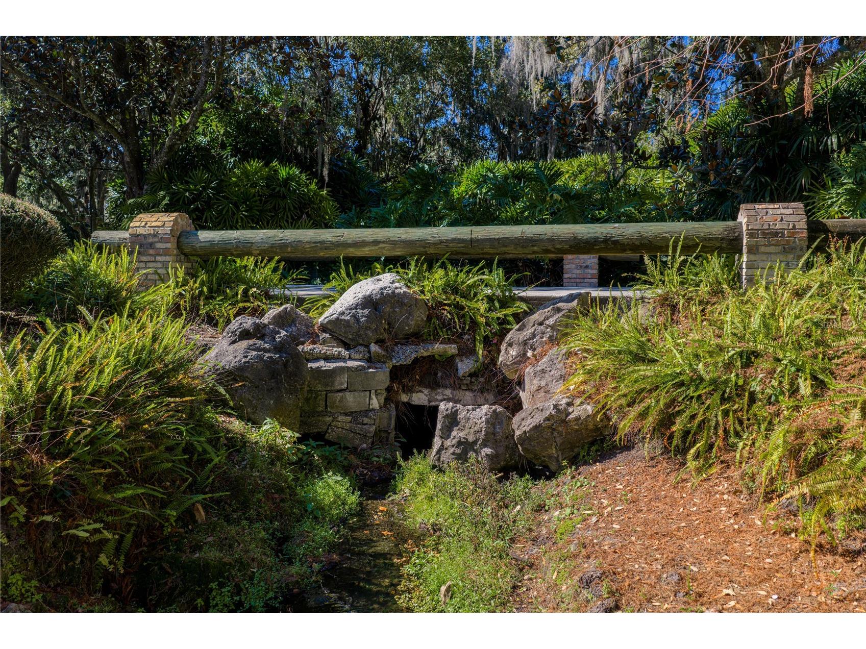 3515 Gallagher Road Dover FL 33527 O6384534 image28