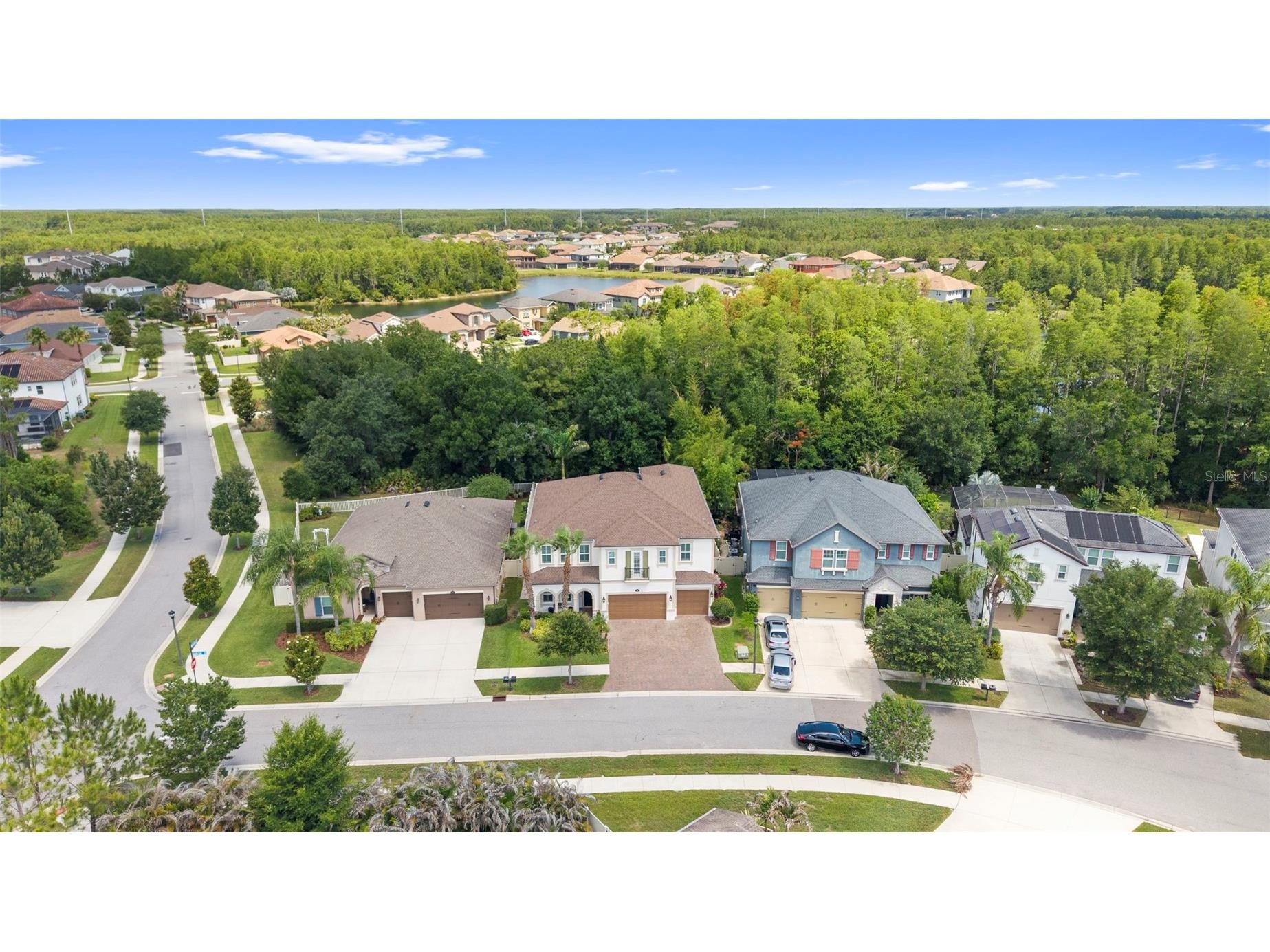 3515 Lands End Way Lutz FL 33548 TB8508633 image95