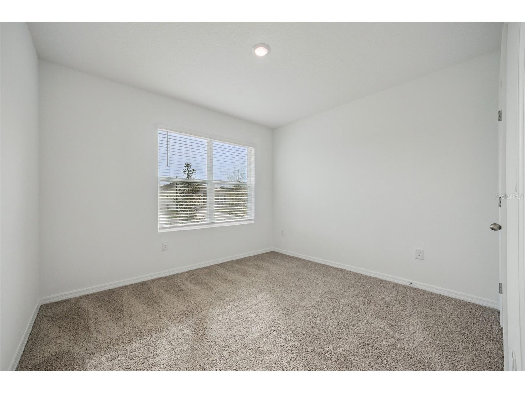3515 Nettle Loop Tavares FL 32778 O6394281 image15