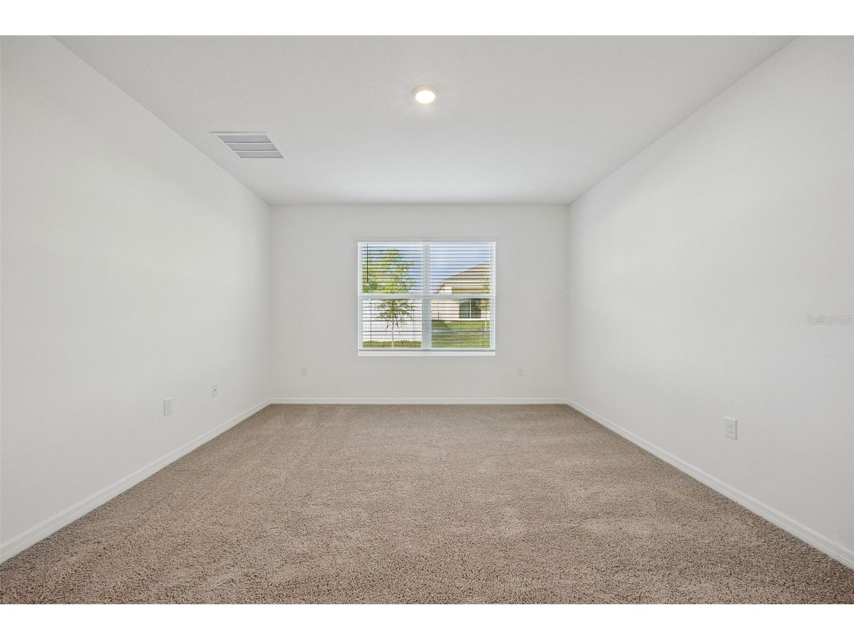 3515 Nettle Loop Tavares FL 32778 O6394281 image19