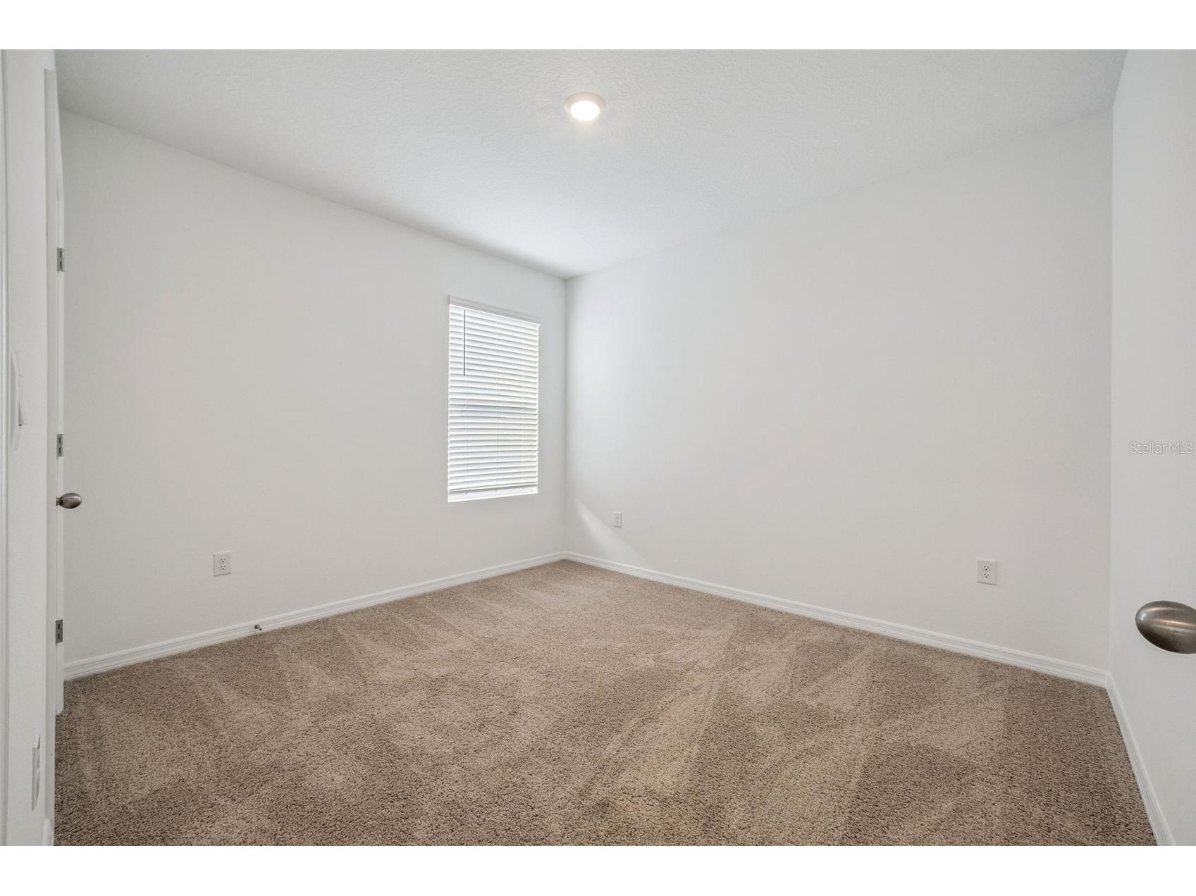 3515 Nettle Loop Tavares FL 32778 O6394281 image20