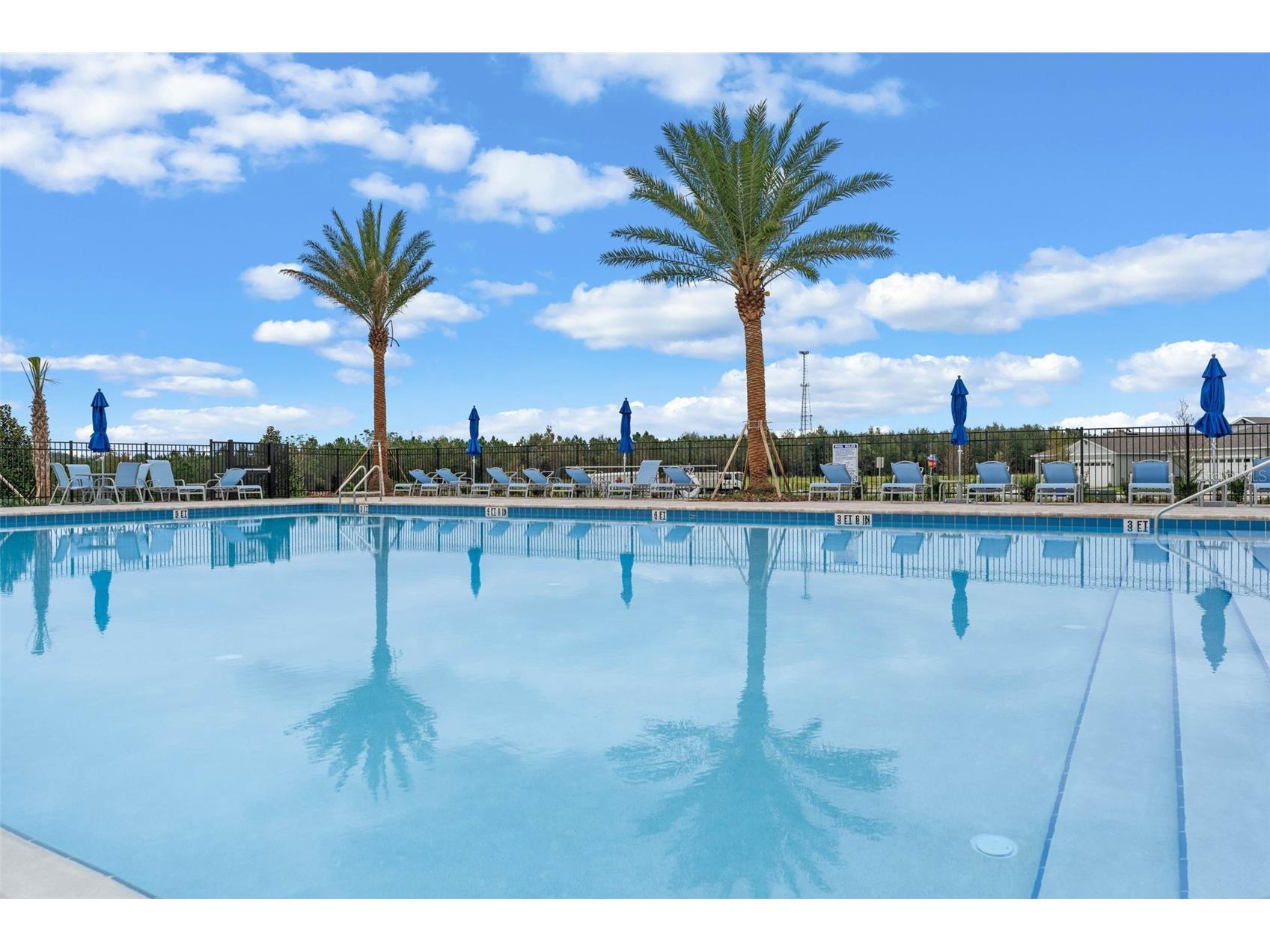 3515 Nettle Loop Tavares FL 32778 O6394281 image46