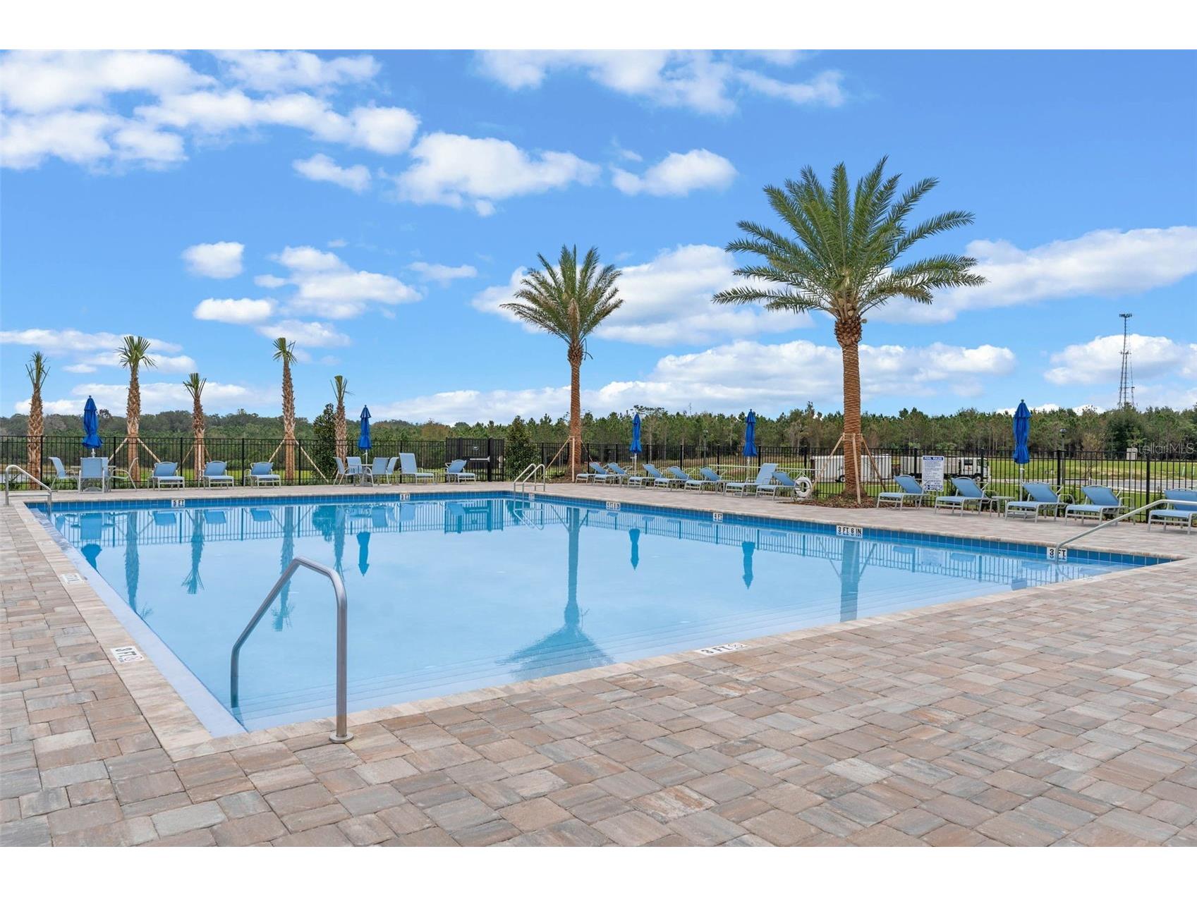 3515 Nettle Loop Tavares FL 32778 O6394281 image49
