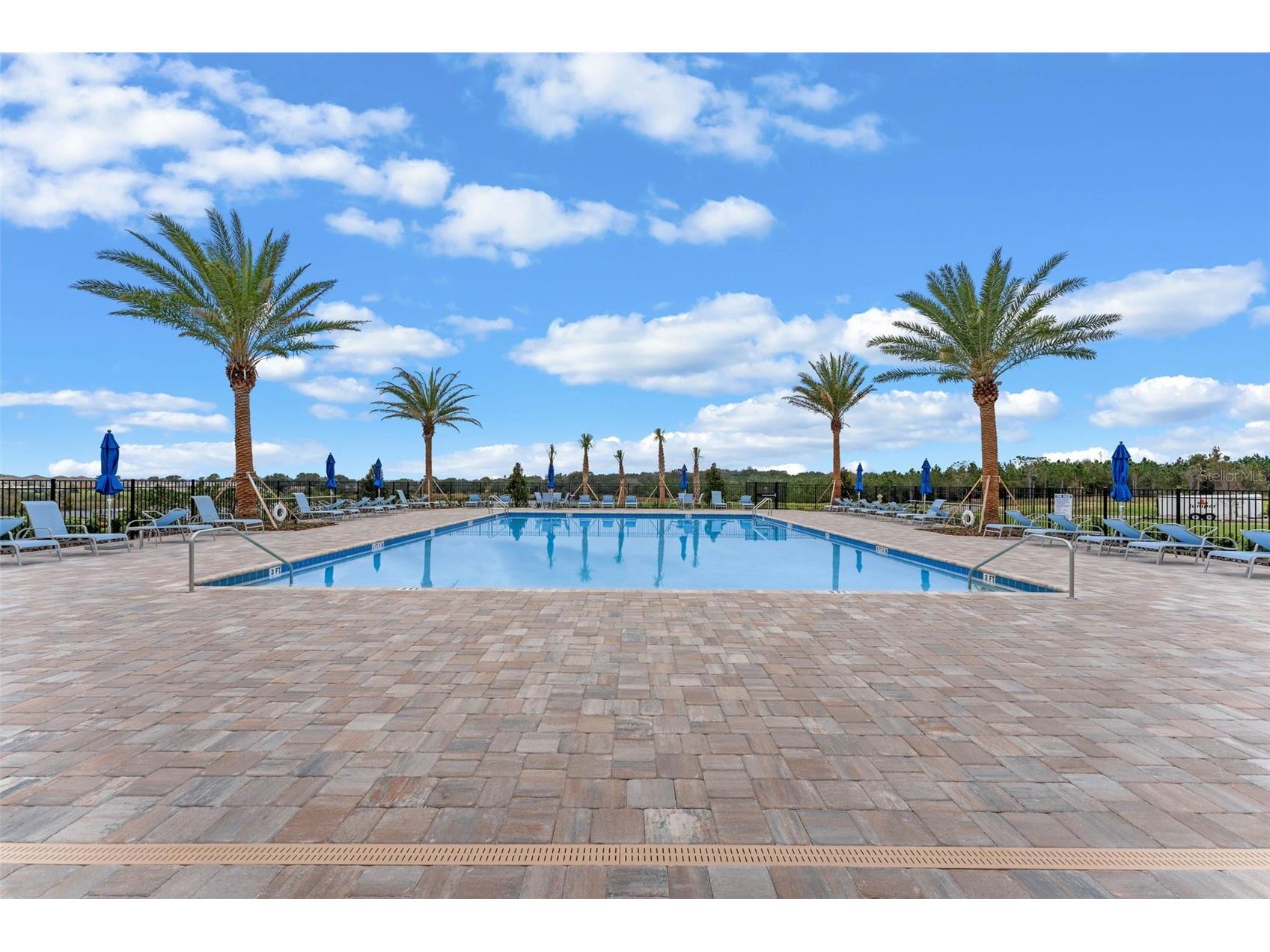 3515 Nettle Loop Tavares FL 32778 O6394281 image50