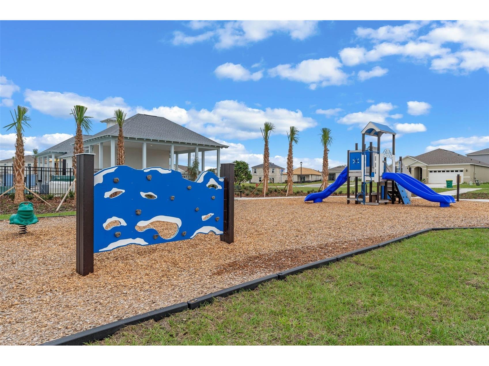 3515 Nettle Loop Tavares FL 32778 O6394281 image56