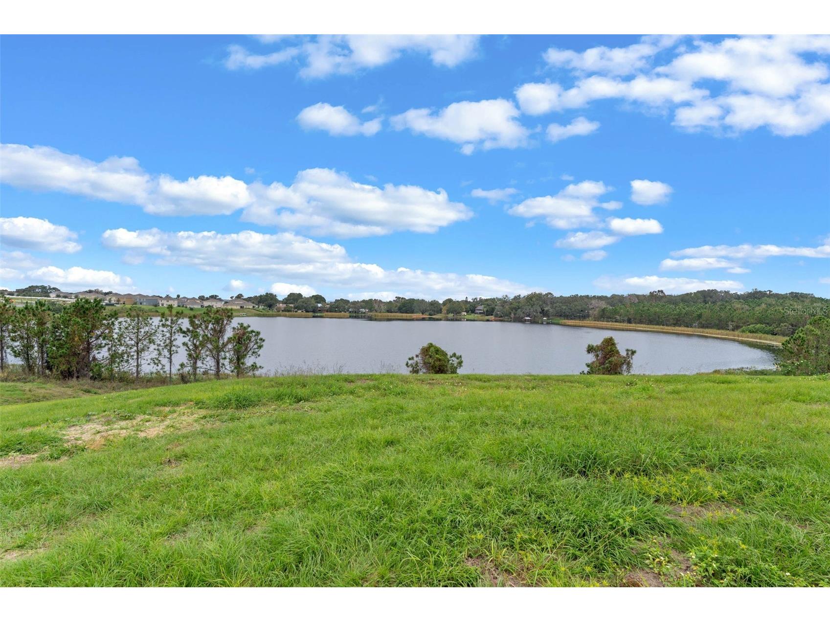 3515 Nettle Loop Tavares FL 32778 O6394281 image58