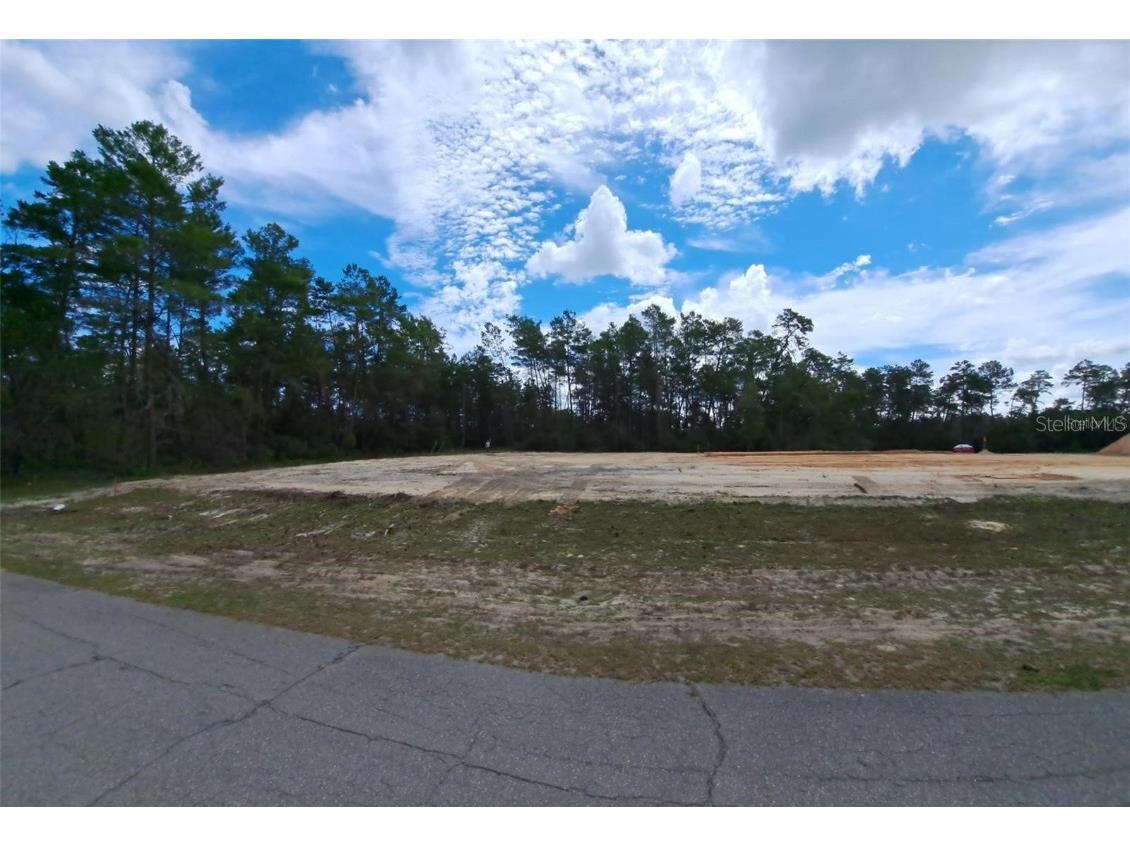 3515 SW 176 Street Ocala FL 34473 OM653452 image1