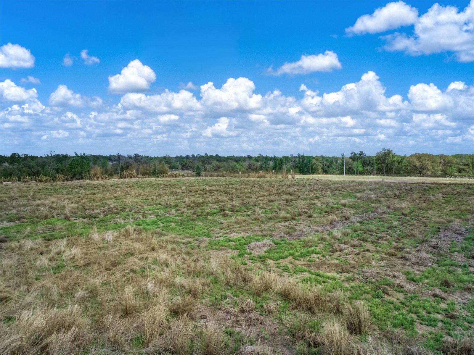 3515 Us Highway 17 N Bowling Green FL 33834 P4938625 image4