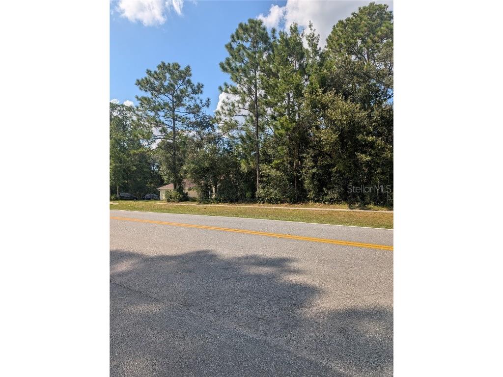 3515 W Century Boulevard Citrus Springs FL 34433 OM712124 image10