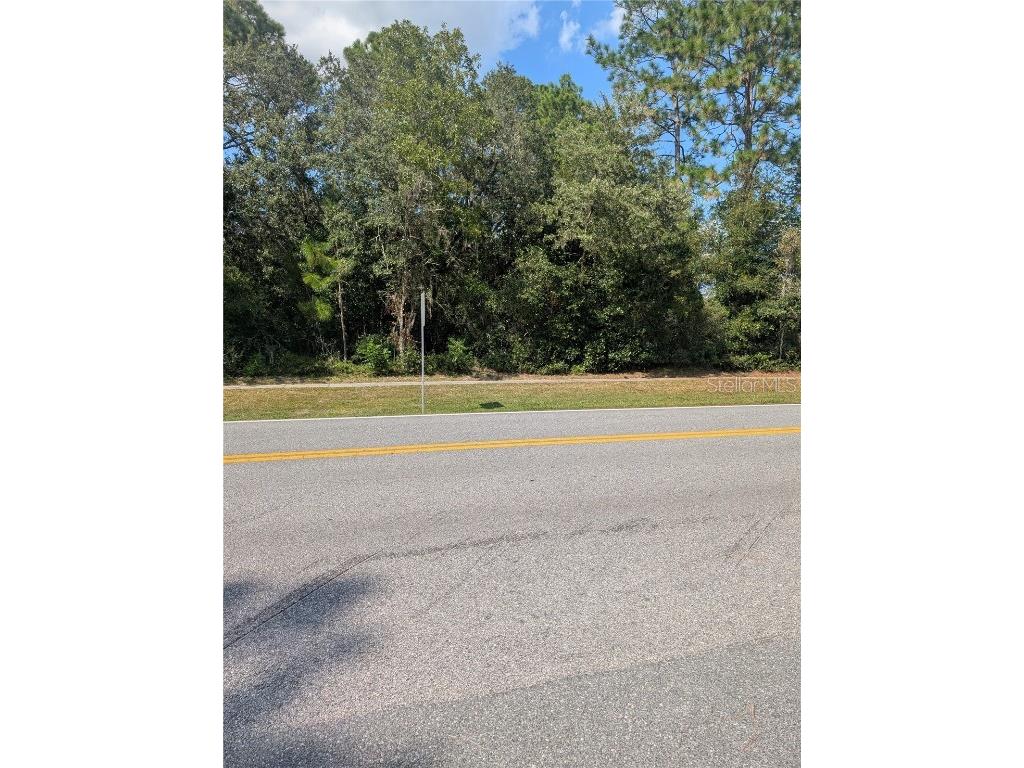 3515 W Century Boulevard Citrus Springs FL 34433 OM712124 image7