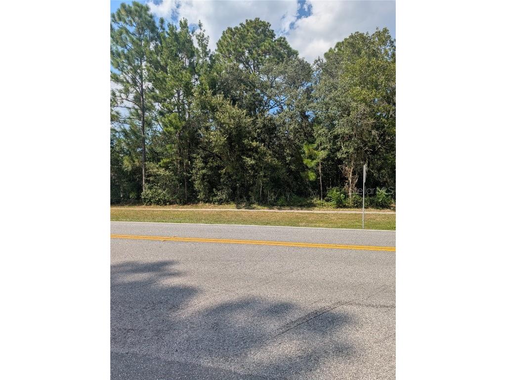 3515 W Century Boulevard Citrus Springs FL 34433 OM712124 image8