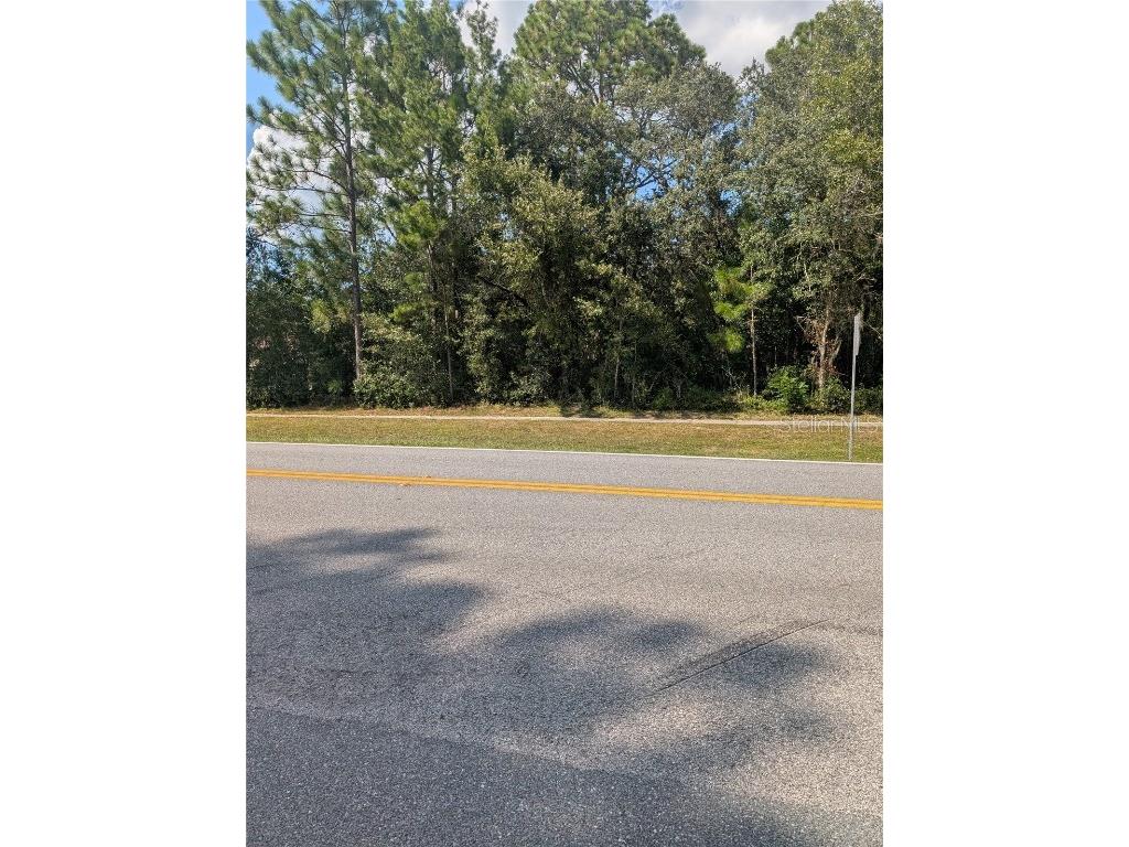 3515 W Century Boulevard Citrus Springs FL 34433 OM712124 image9