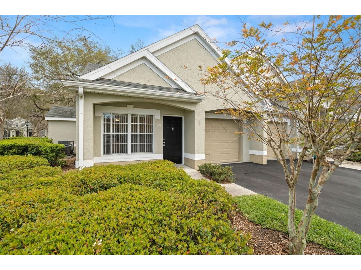 3515 Wembley Way #101 Palm Harbor FL 34685 U8231285 image1