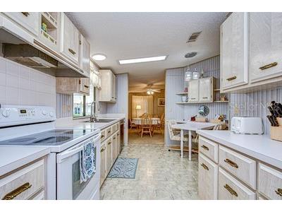 35151 Colony Hills Drive Zephyrhills FL 33541 TB8493494 image21