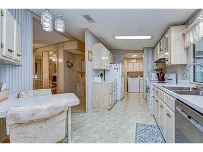 35151 Colony Hills Drive Zephyrhills FL 33541 TB8493494 image23