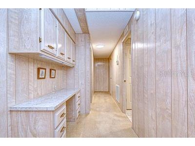 35151 Colony Hills Drive Zephyrhills FL 33541 TB8493494 image32