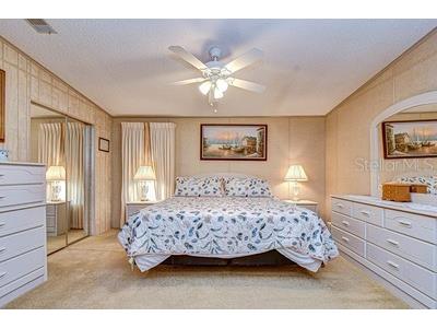 35151 Colony Hills Drive Zephyrhills FL 33541 TB8493494 image38