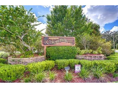 35151 Colony Hills Drive Zephyrhills FL 33541 TB8493494 image47