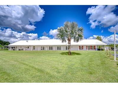 35151 Colony Hills Drive Zephyrhills FL 33541 TB8493494 image51