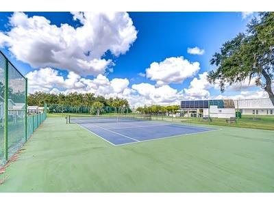 35151 Colony Hills Drive Zephyrhills FL 33541 TB8493494 image56