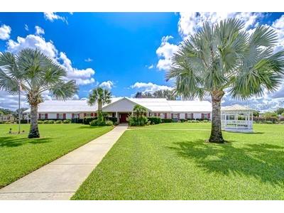 35151 Colony Hills Drive Zephyrhills FL 33541 TB8493494 image60