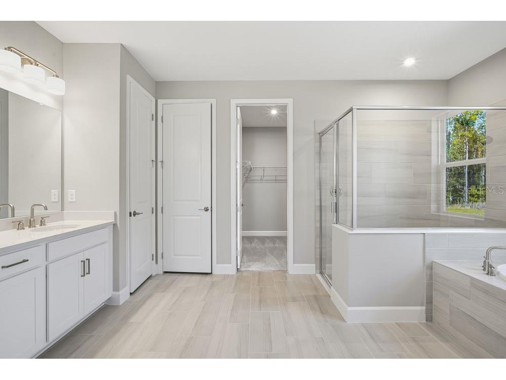 35154 Emberview Drive Zephyrhills FL 33541 TB8401445 image11