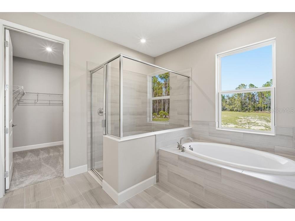 35154 Emberview Drive Zephyrhills FL 33541 TB8401445 image12