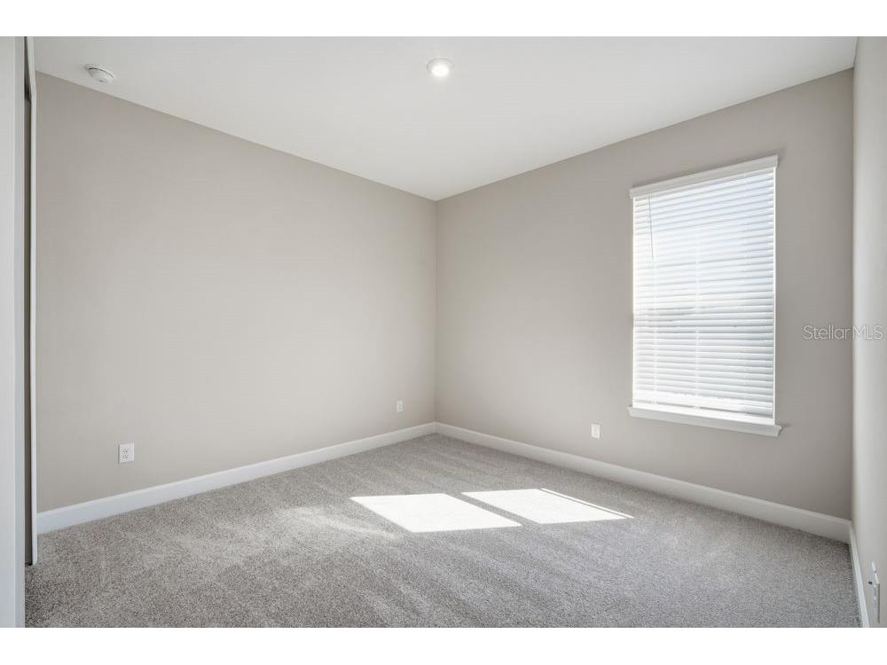 35154 Emberview Drive Zephyrhills FL 33541 TB8401445 image13