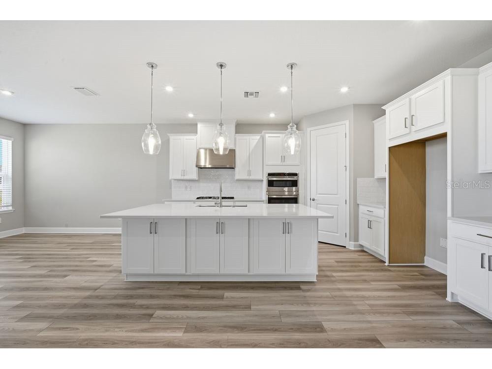 35154 Emberview Drive Zephyrhills FL 33541 TB8401445 image2