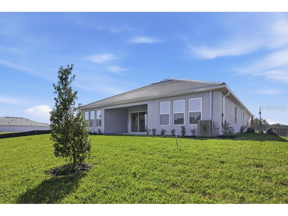 35154 Emberview Drive Zephyrhills FL 33541 TB8401445 image27