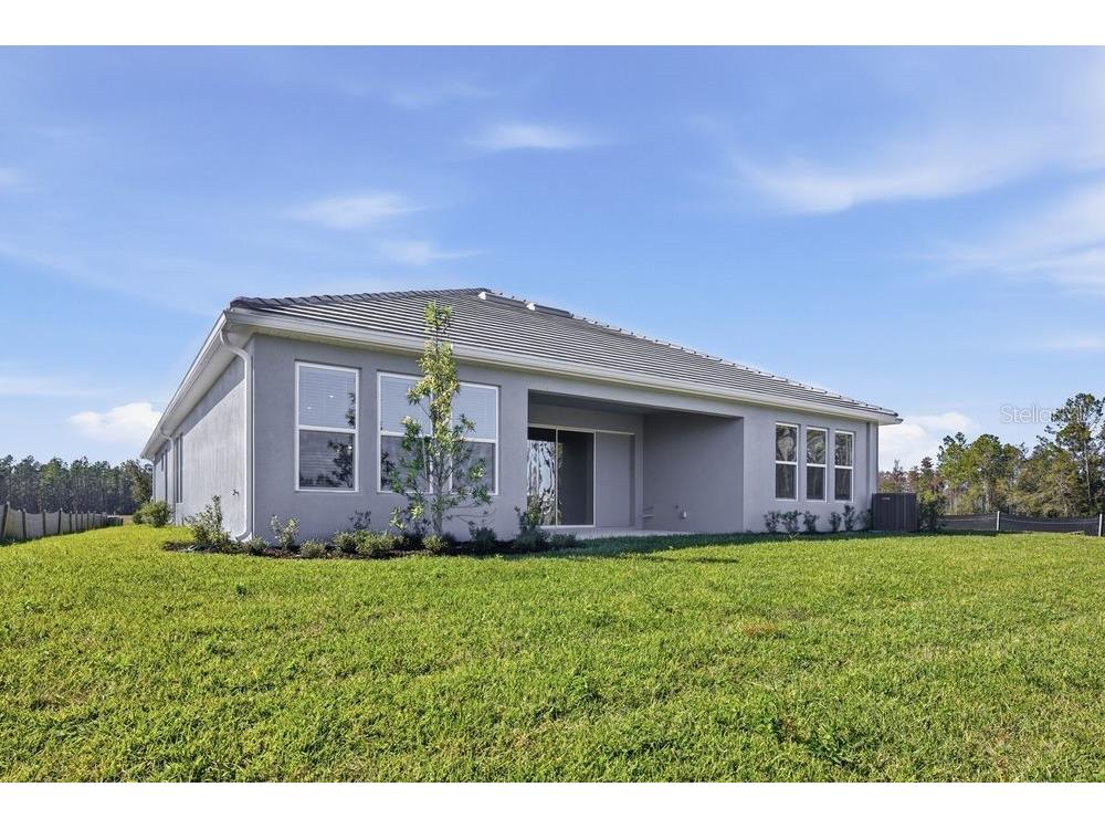 35154 Emberview Drive Zephyrhills FL 33541 TB8401445 image28